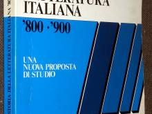 Storia della letteratura italiana '800-'900. Una nuova proposta di studio. Per le Scuole book