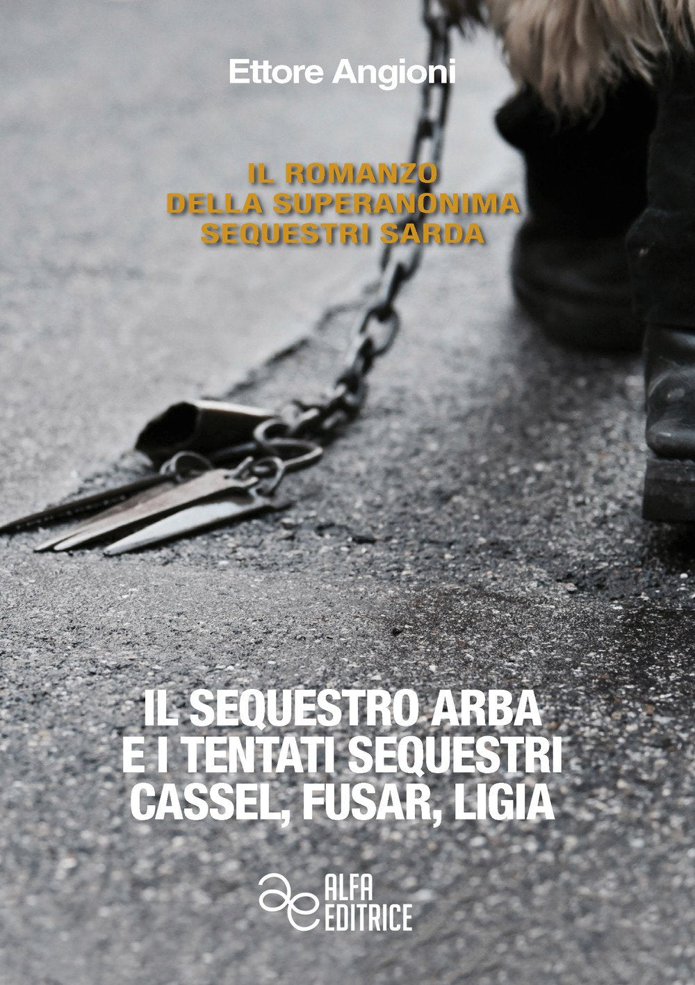 Il sequestro Arba e i tentati sequestri Cassel, Fusar, Ligia book