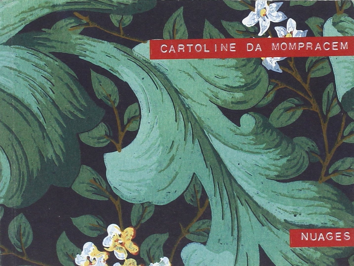 Cartoline da Mompracem. Ediz. illustrata book
