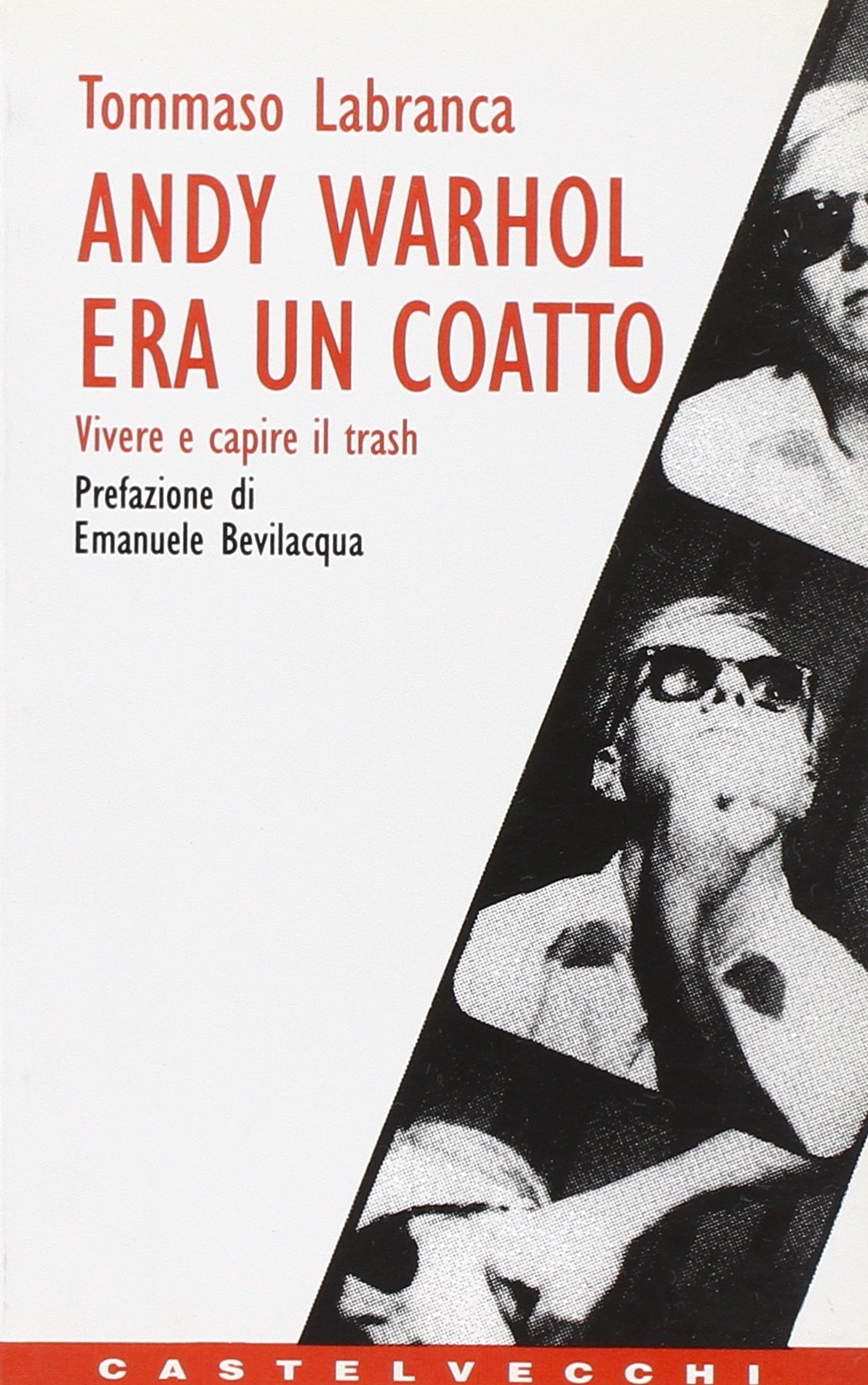 Andy Warhol era un coatto. Vivere e capire il trash book