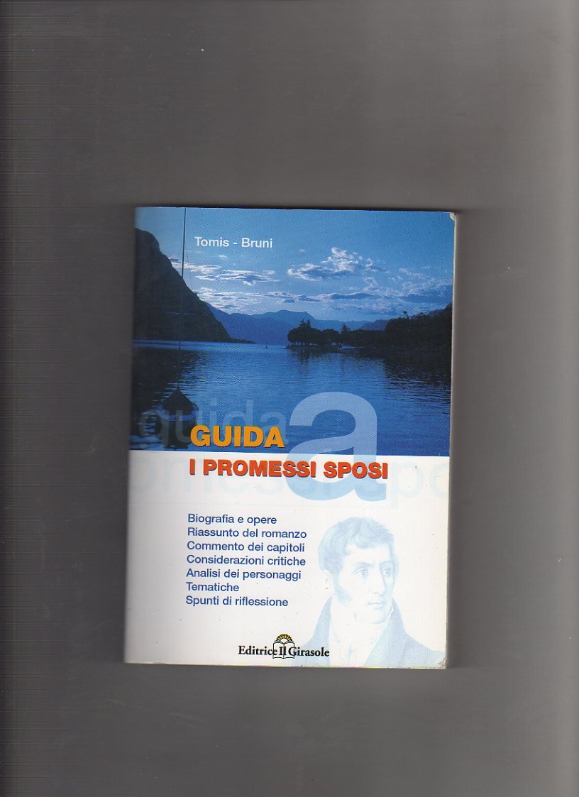 Guida ai Promessi sposi. Biografia, opere, riassunto del romanzo, analisi... book