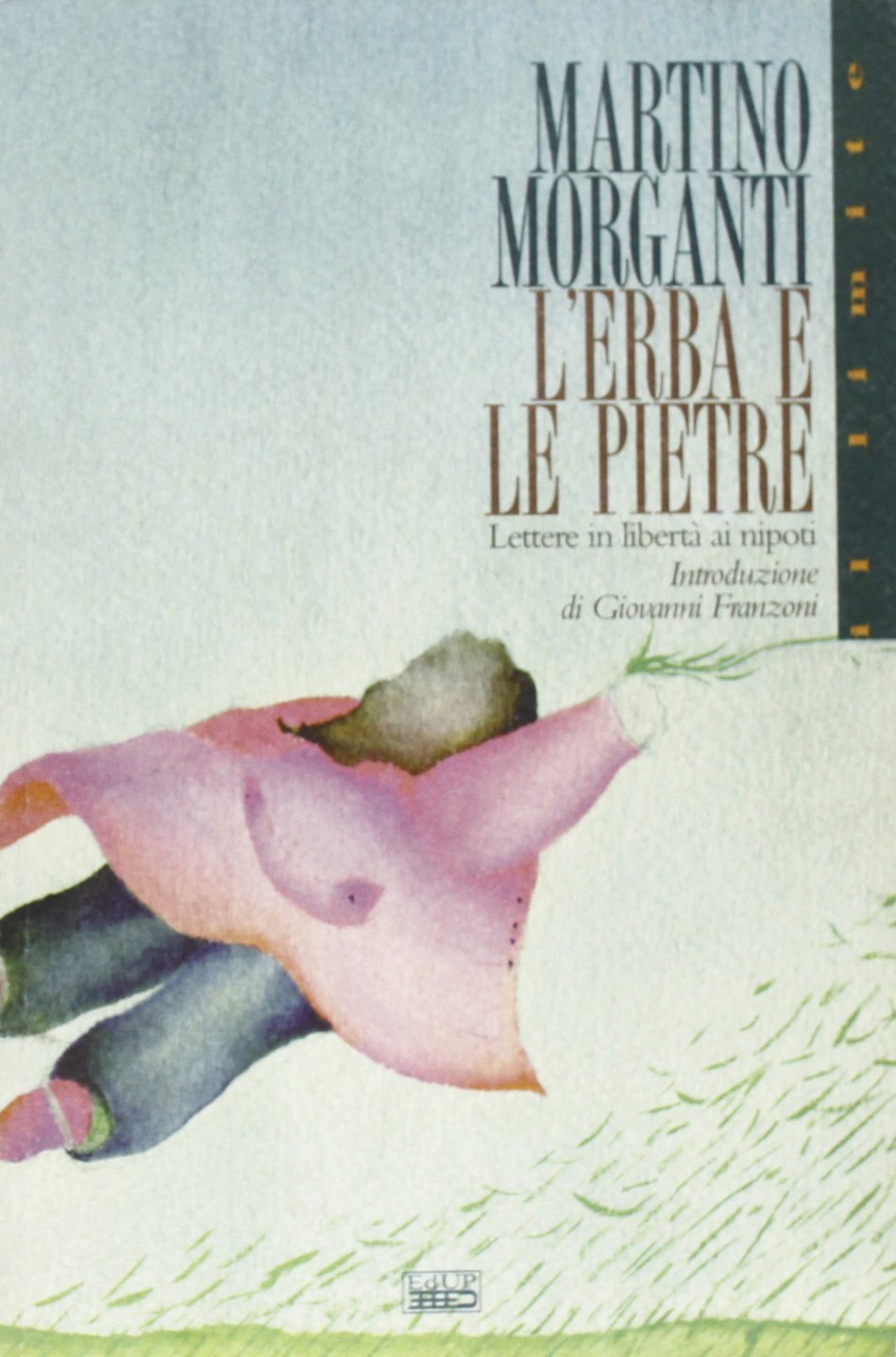 L'erba e le pietre. Lettere in libertà ai nipoti book