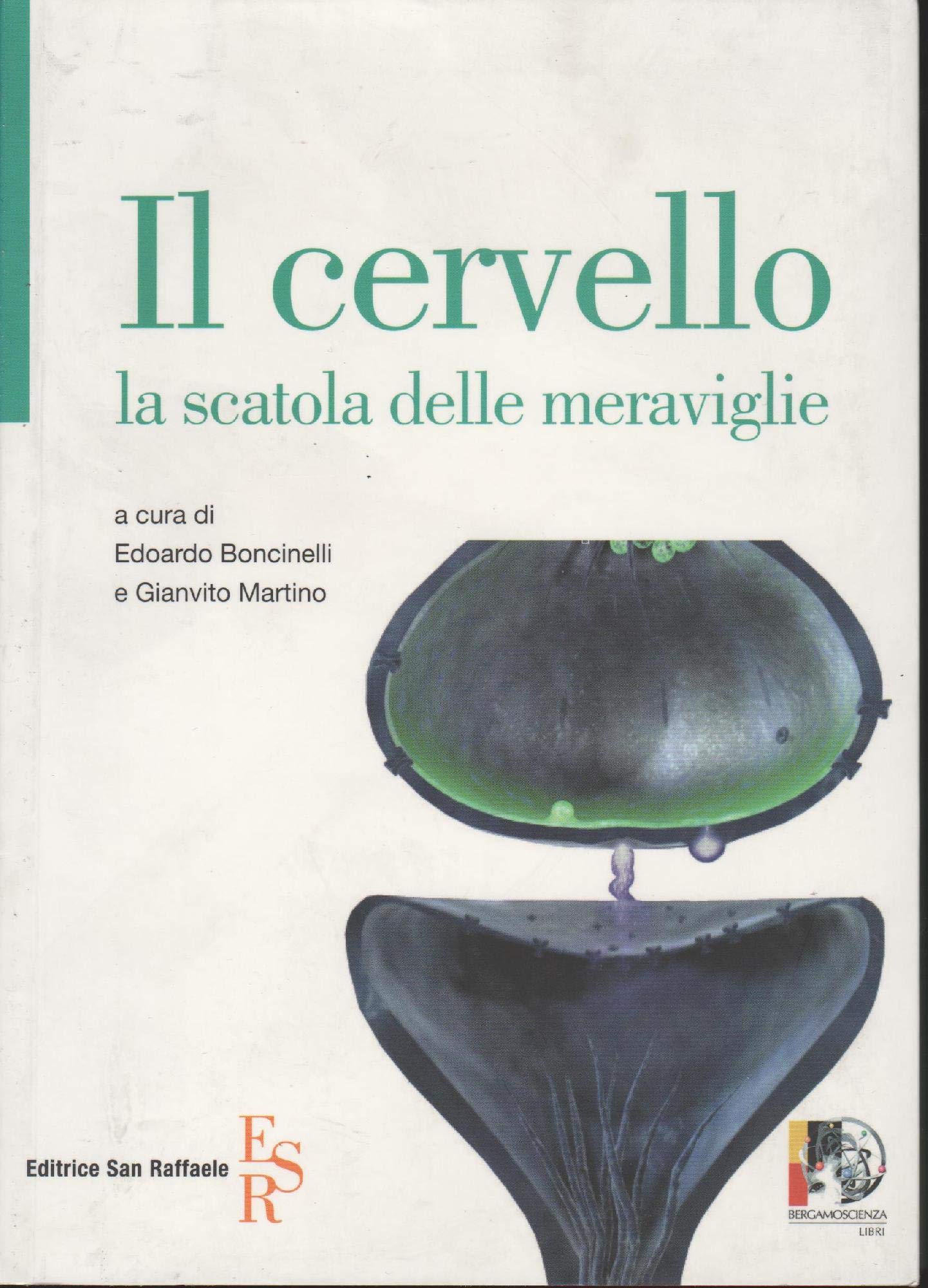 Il cervello. La scatola delle meraviglie book
