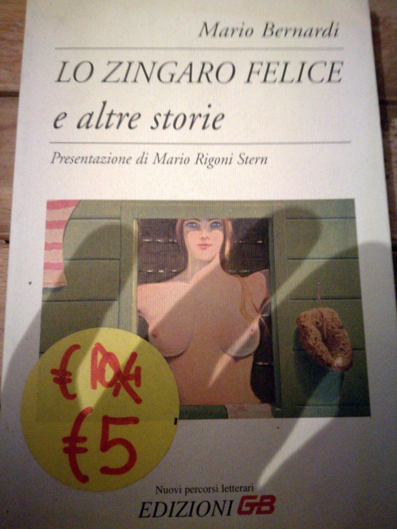 Lo zingaro felice e altre storie book