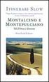 Montalcino e Montepulciano. Val d'Orcia e dintorni (Itinerari Slow) Leisure, Home & Garden