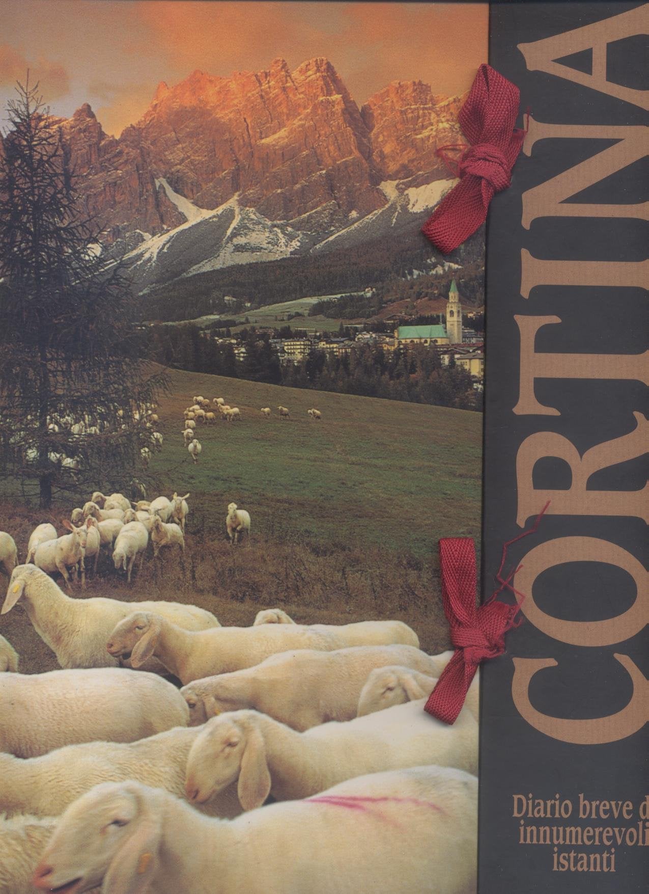 Cortina. Diario breve di innumerevoli istanti Leisure, Home & Garden