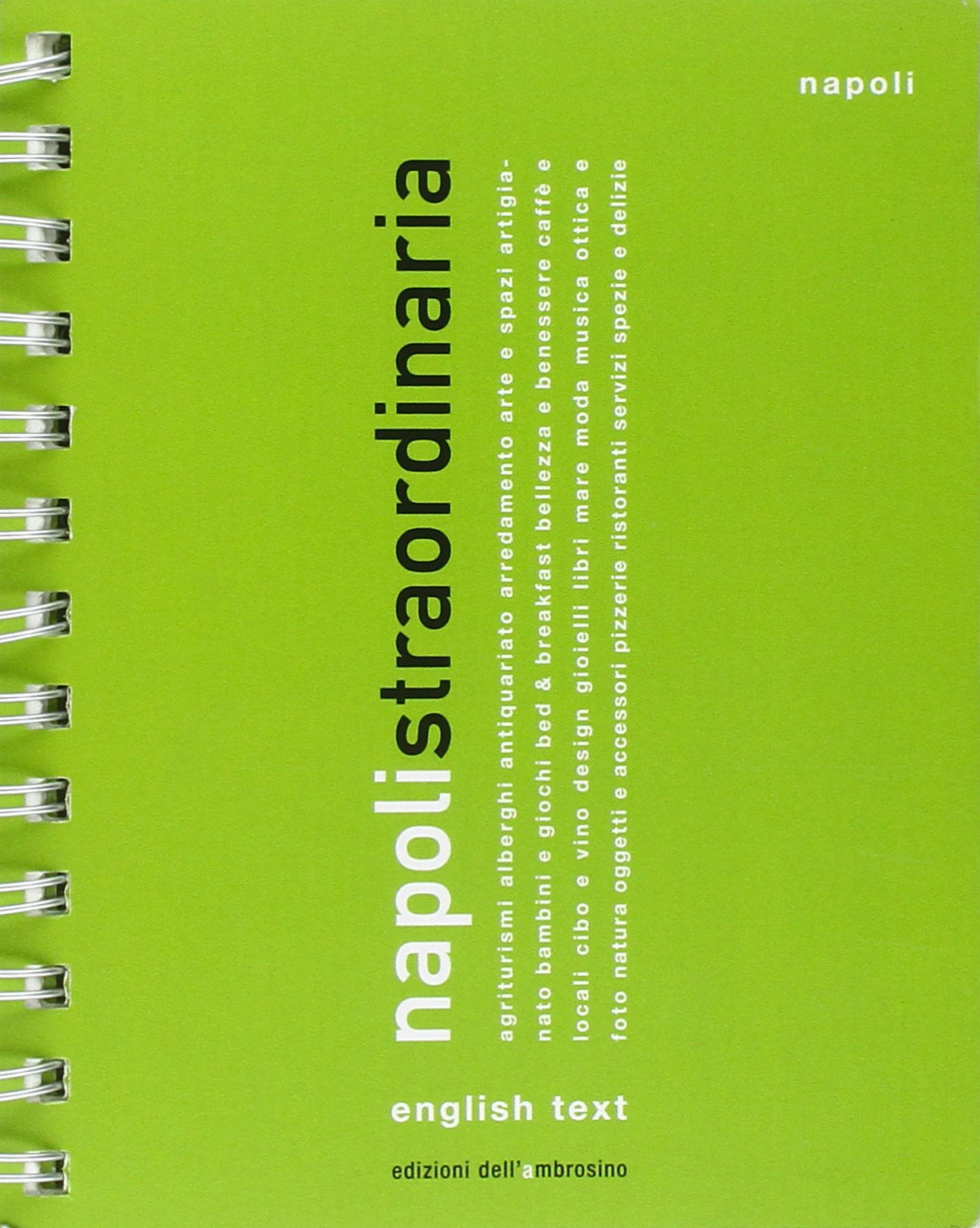 Napoli straordinaria 2011. Ediz. italiana e inglese Leisure, Home & Garden