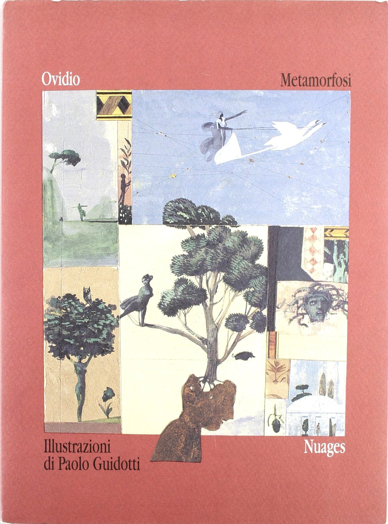 Metamorfosi. Ediz. illustrata book