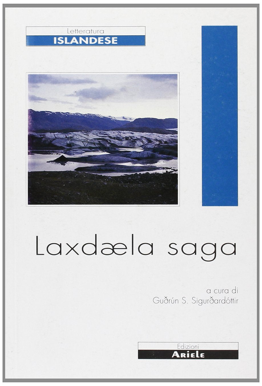 Laxdaela saga. La saga della gente della valle del fiume del salmone Books