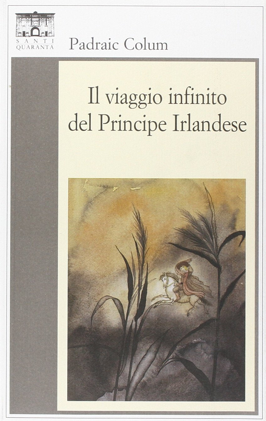 Il viaggio infinito del principe irlandese book
