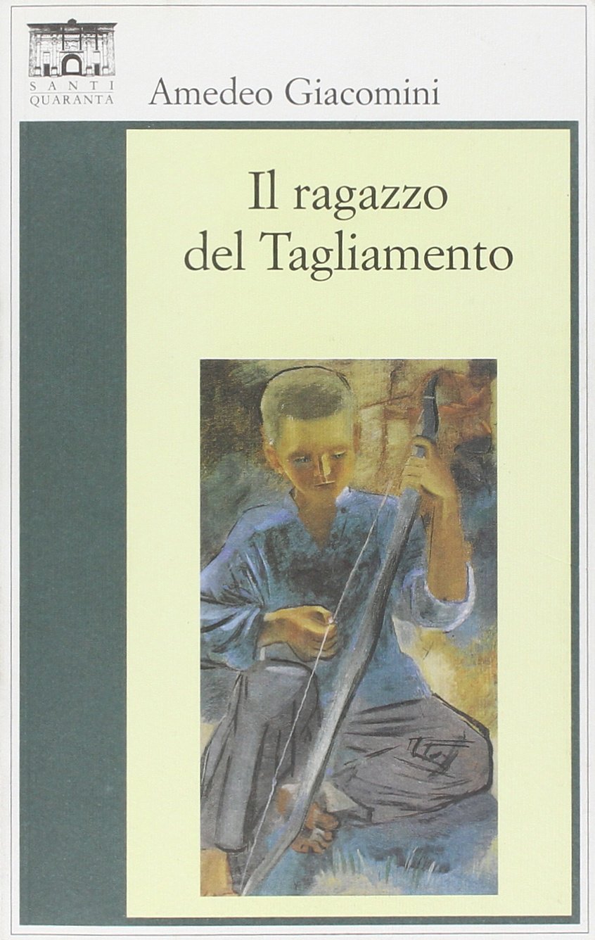 Il ragazzo del Tagliamento book