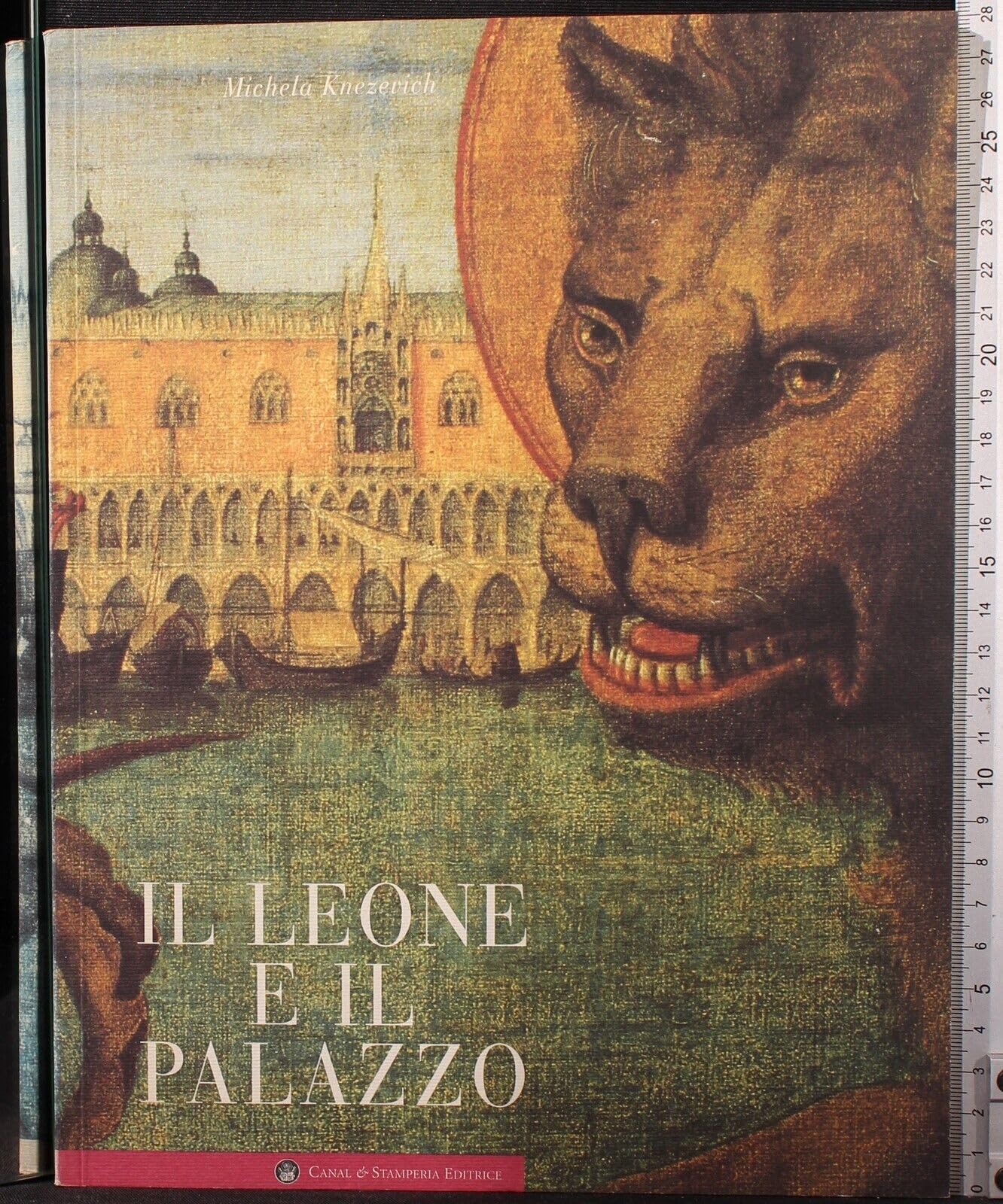 Il leone e il Palazzo (Le guide illustrate per conoscere) Leisure, Home & Garden