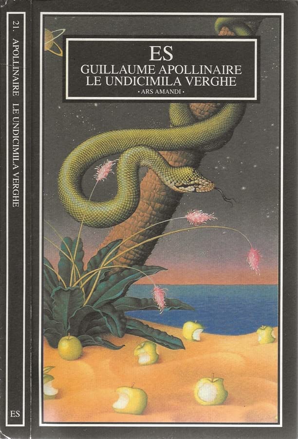 Le undicimila verghe book