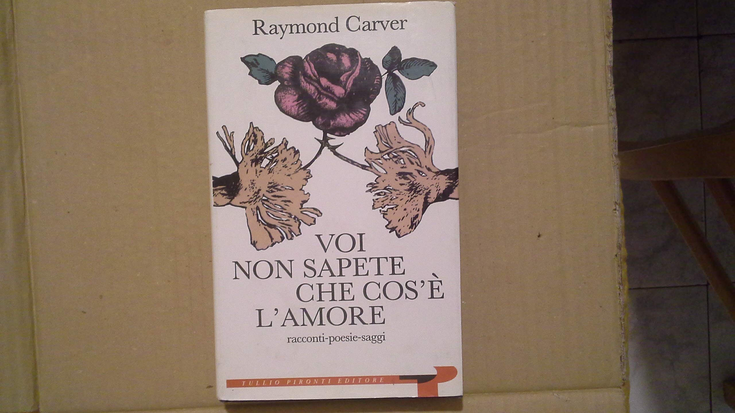 Voi non sapete che cos'è l'amore. Saggi, poesie, racconti book