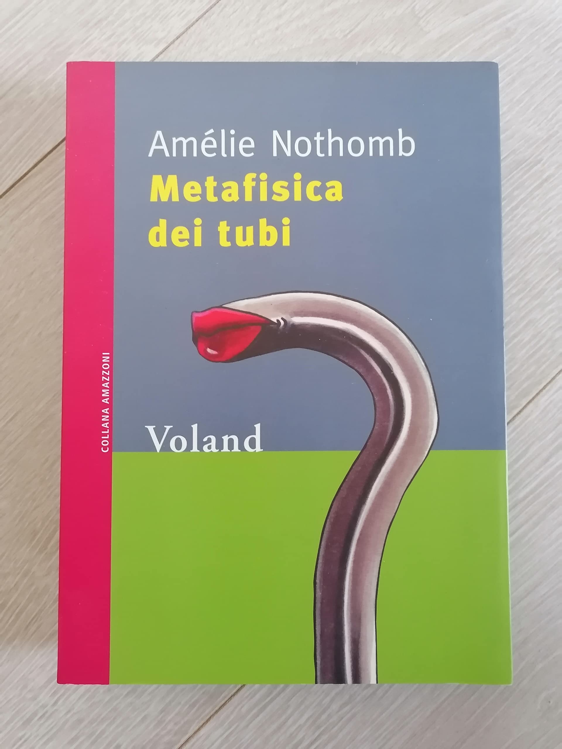 Metafisica dei tubi (Amazzoni) Contemporary literature