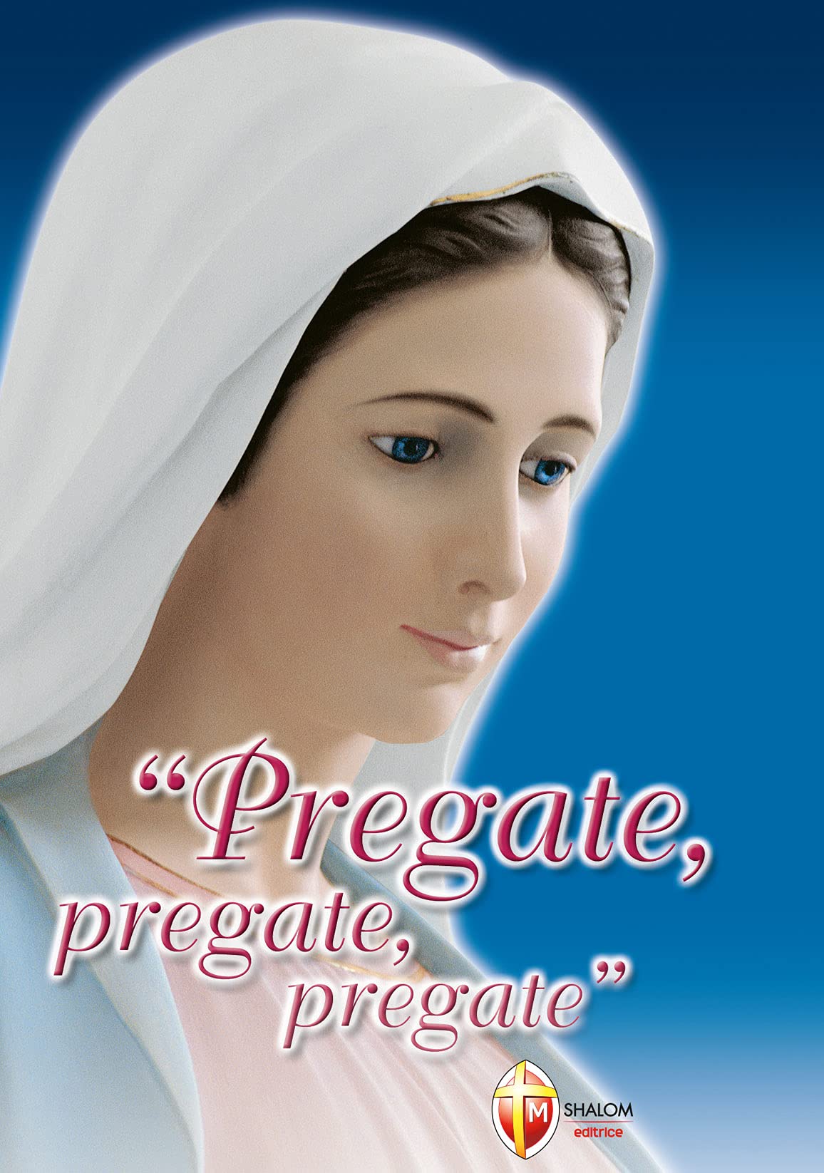 Pregate, pregate, pregate! Raccolta di preghiere book