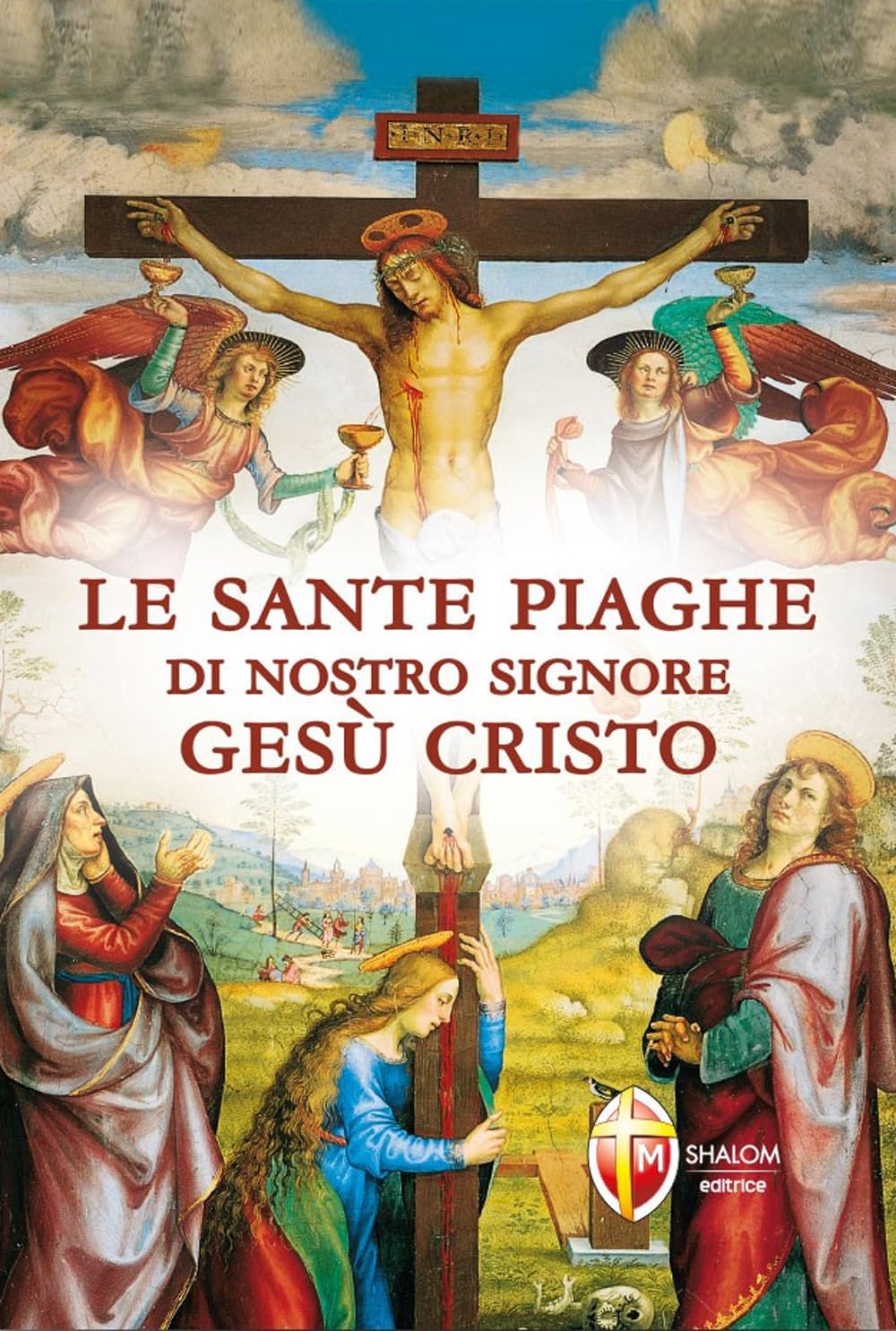 Le sante piaghe di nostro Signore Gesù Cristo book