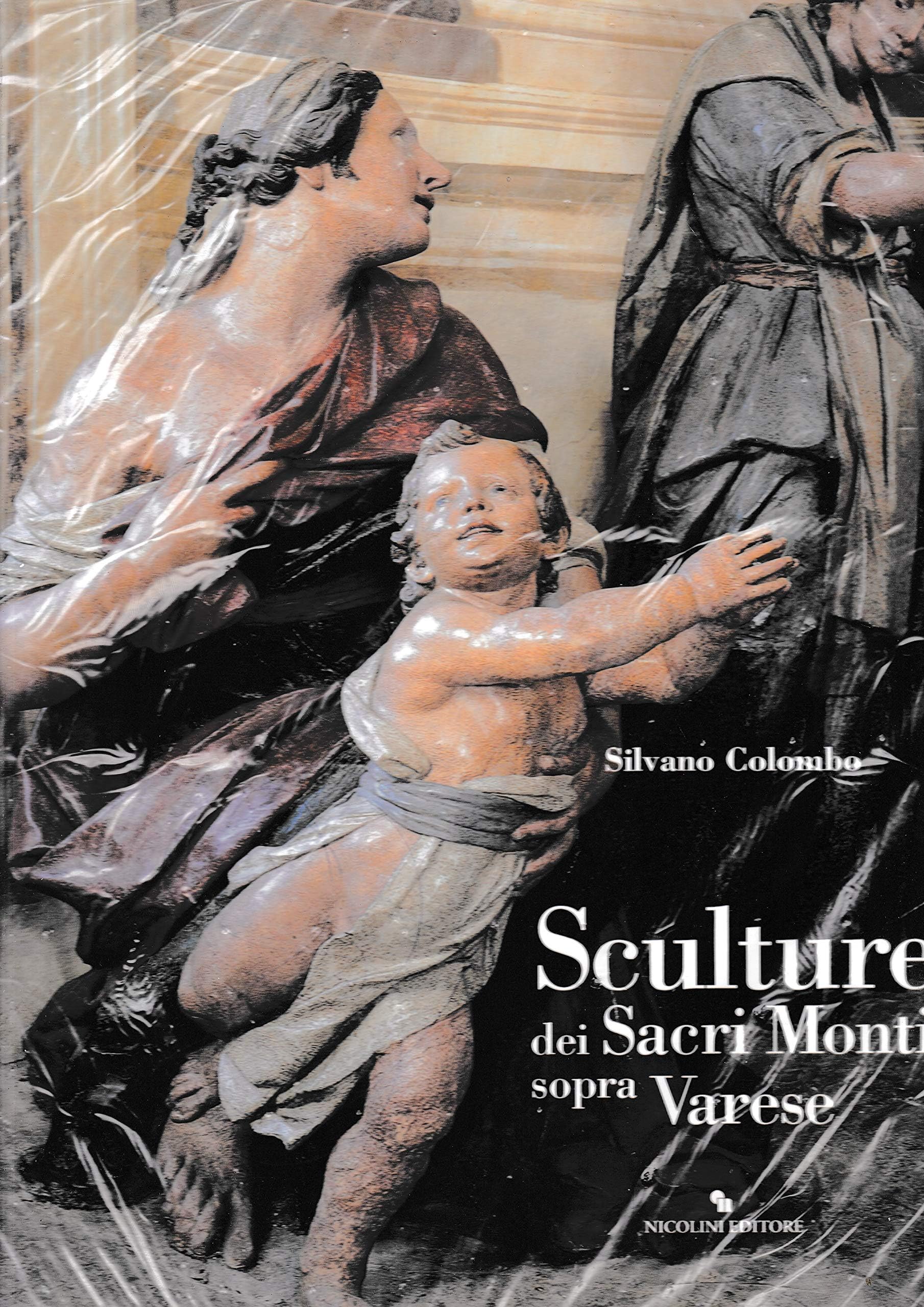 Sculture dei Sacri Monti sopra Varese Books