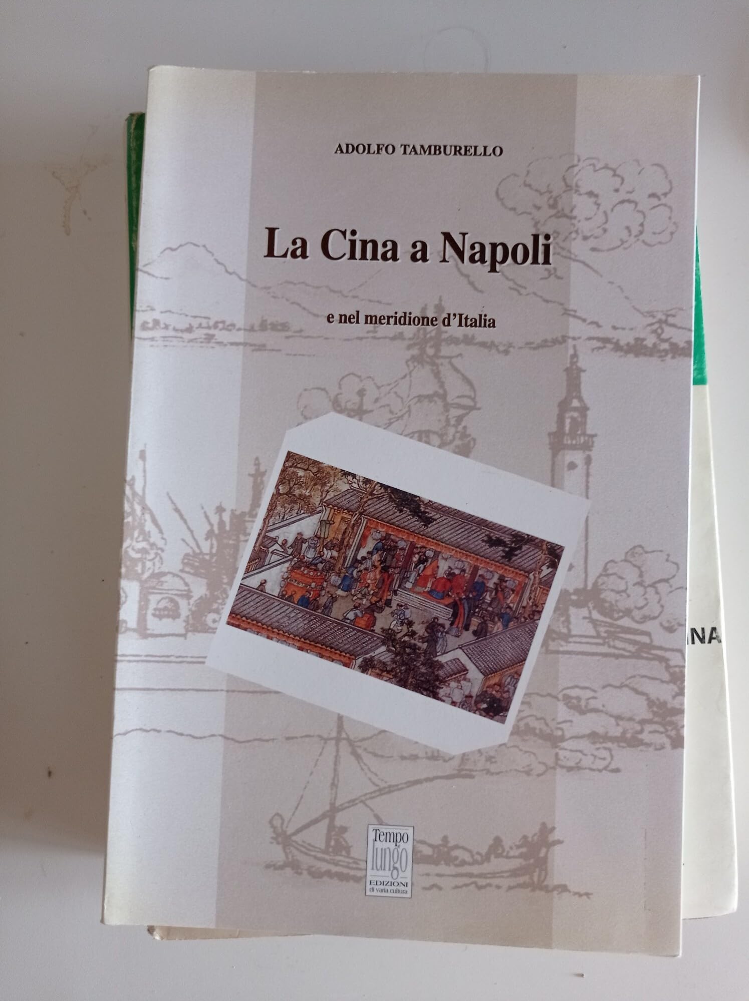 La Cina a Napoli e nel meridione d'Italia book