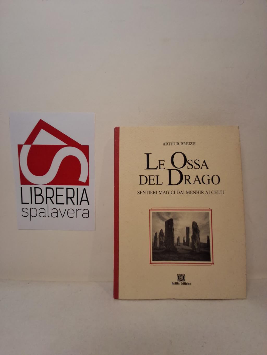 Le ossa del drago. Sentieri magici dai menhir ai celti book