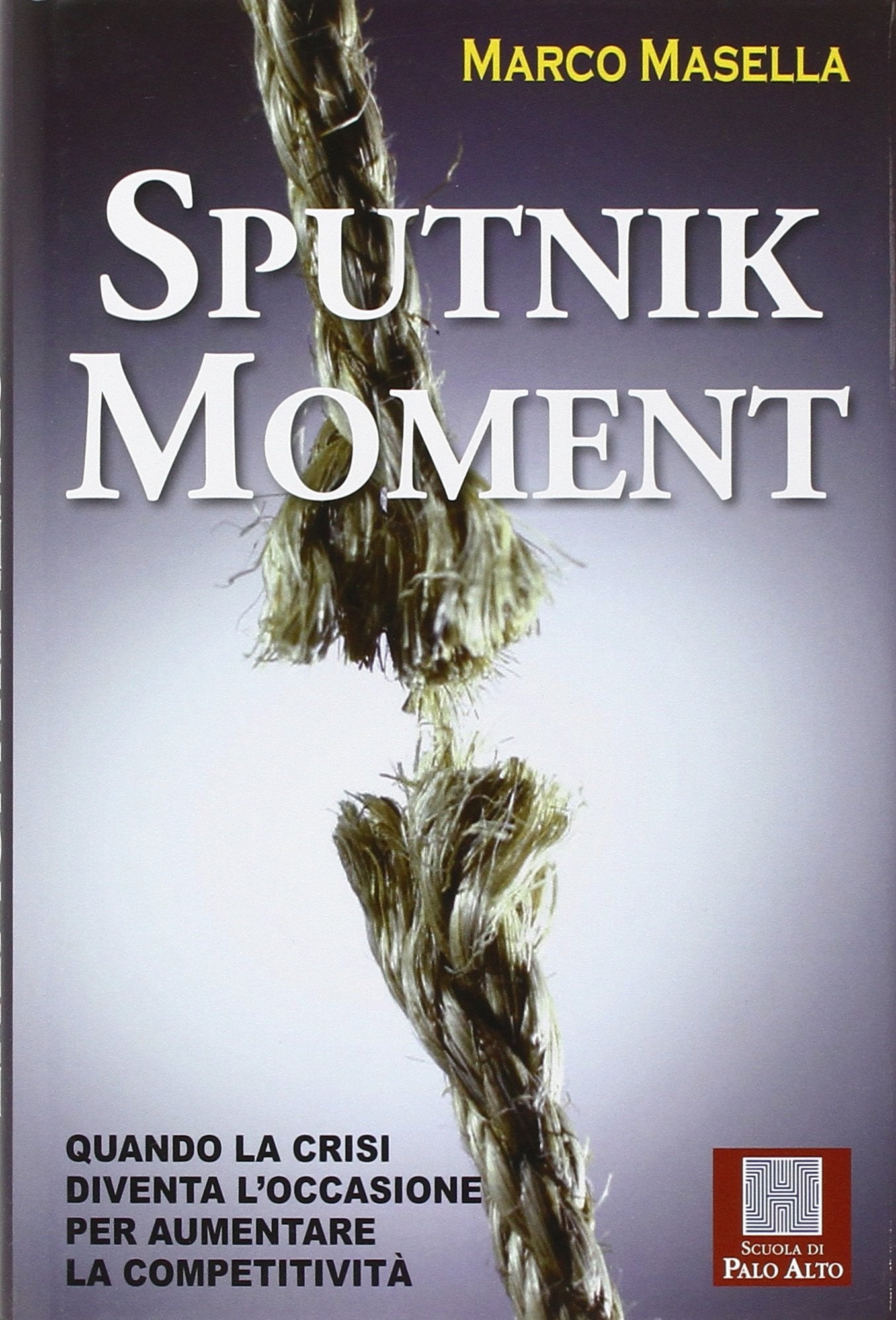 Sputnik moment. Quando la crisi diventa l'occasione per aumentare la competitività book
