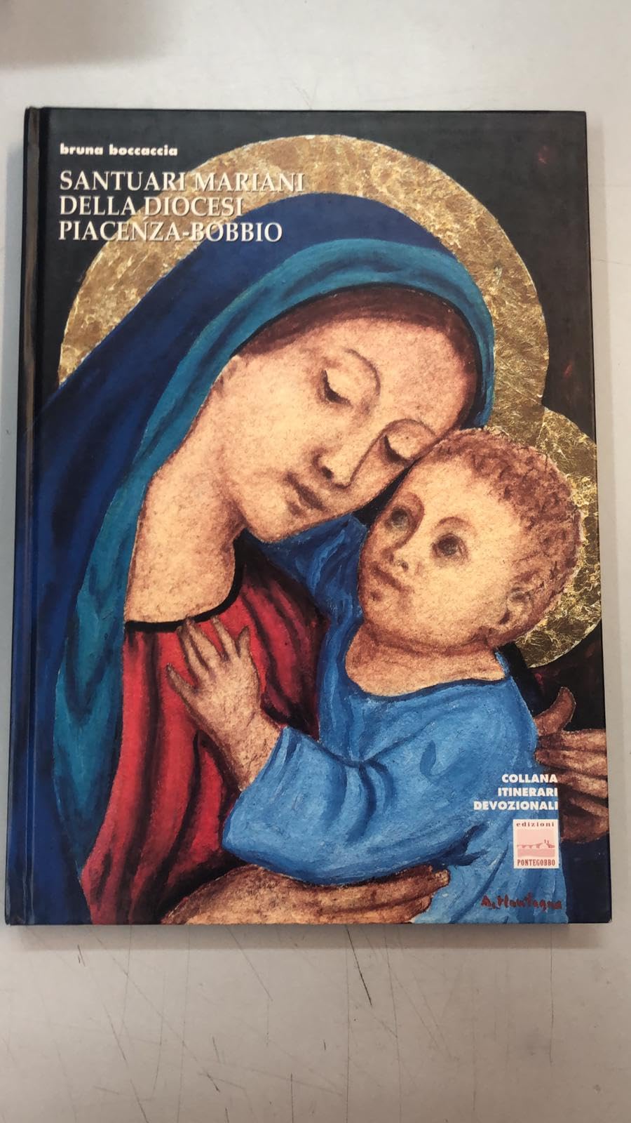 Santuari mariani della diocesi Piacenza-Bobbio book