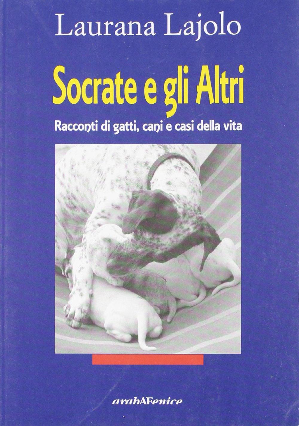 Socrate e gli altri. Racconti di gatti, cani e casi della vita book