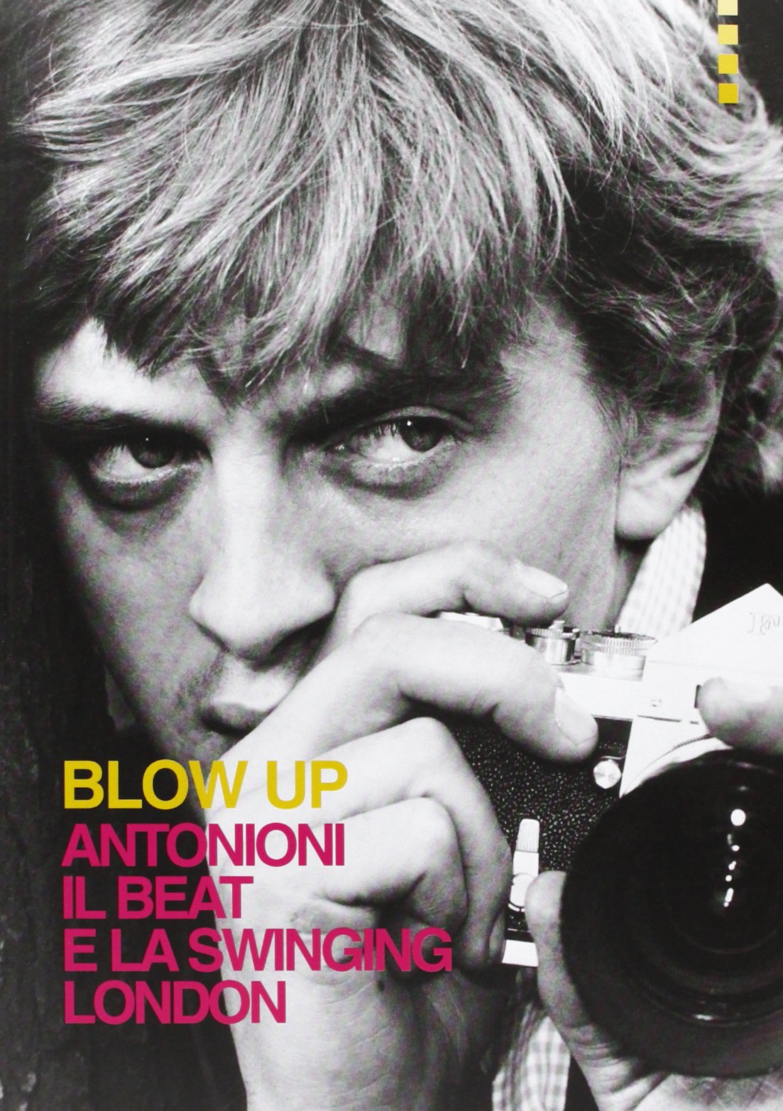 Blow up. Antonioni, il beat e la swinging London book