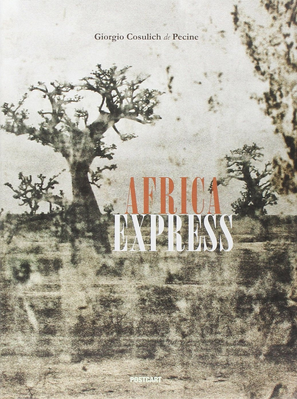 Africa express. Ediz. illustrata book