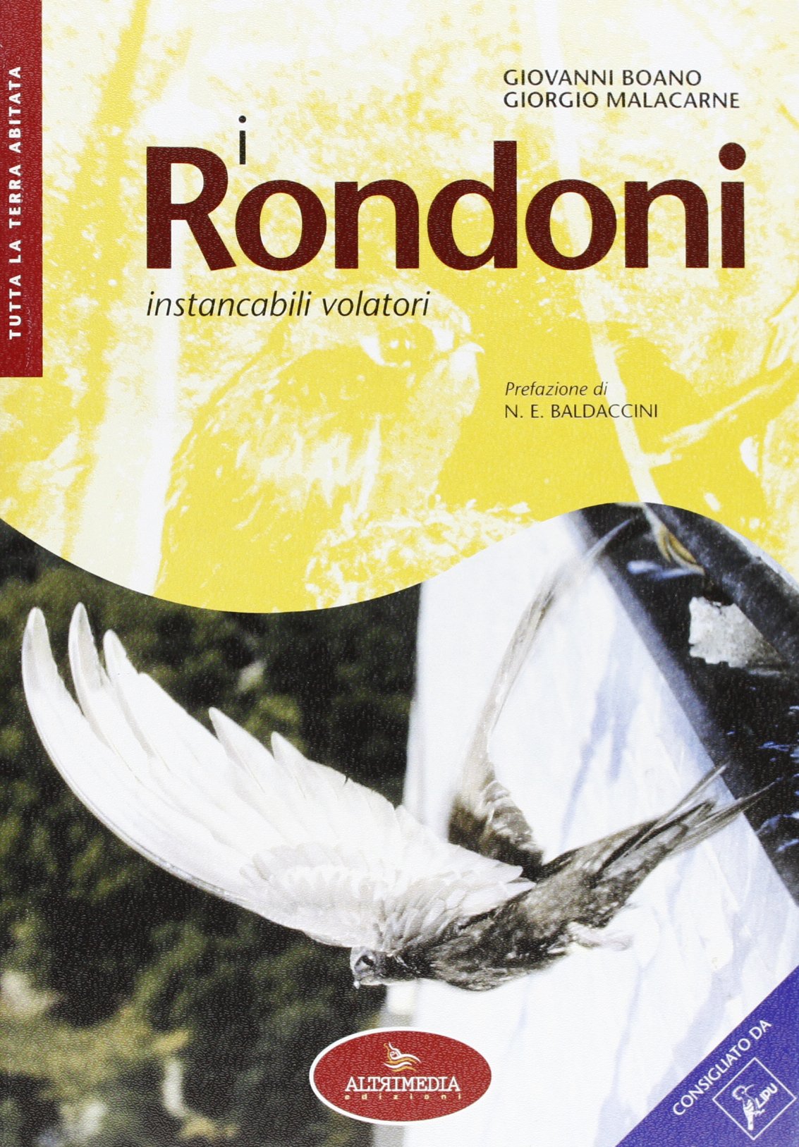 I rondoni instancabili volatori (Tutta la terra abitata) Leisure, Home & Garden