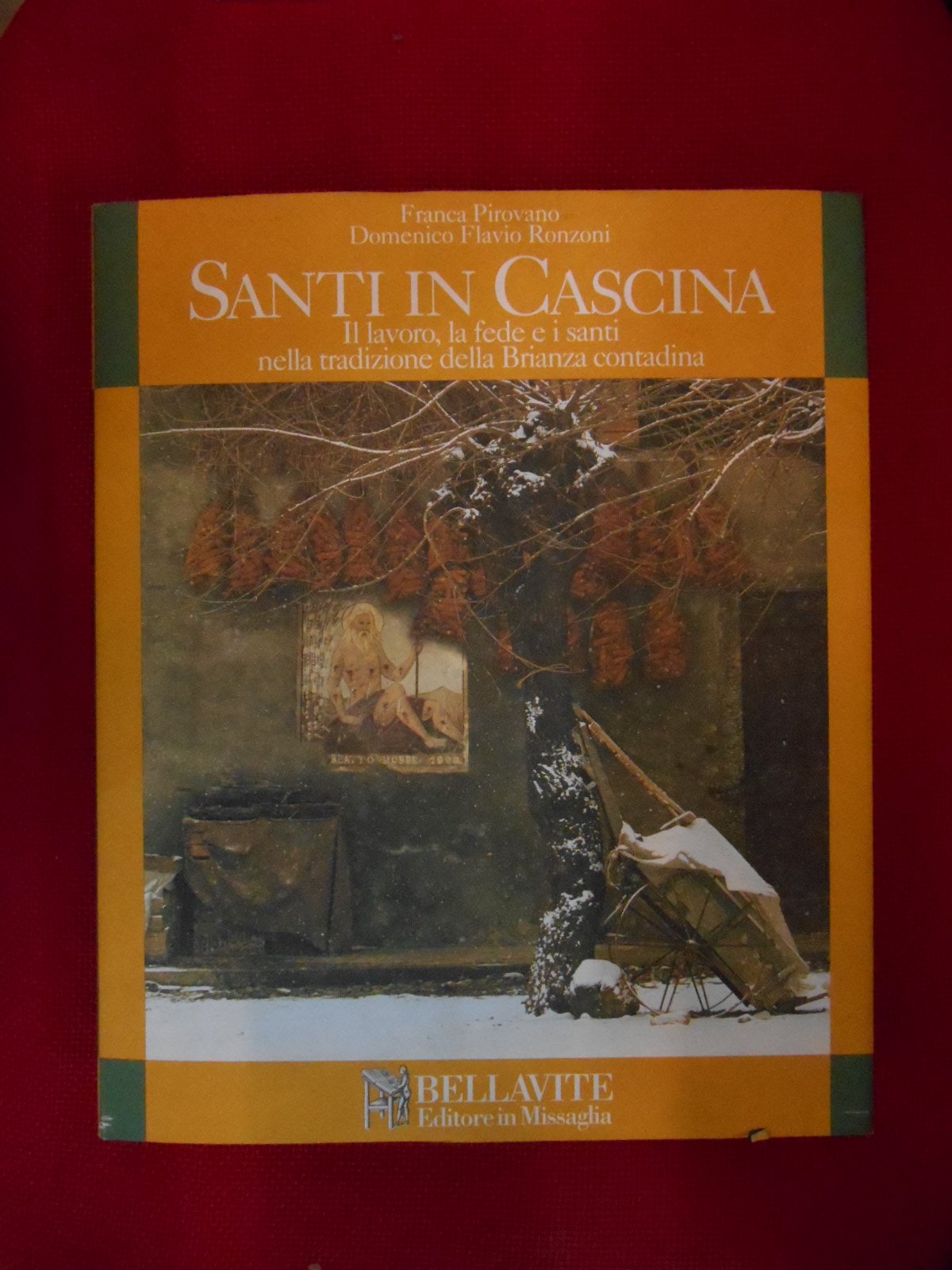 Santi in cascina. Il lavoro, la fede e i santi nella tradizione della Brianza contadina (Storia e tradizioni) Books