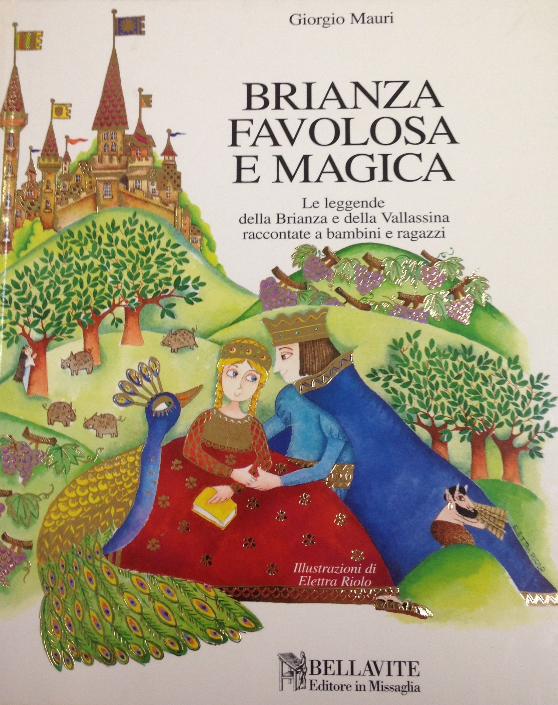 Brianza favolosa e magica. Le leggende della Brianza e della Vallassina raccontate a bambini e ragazzi book