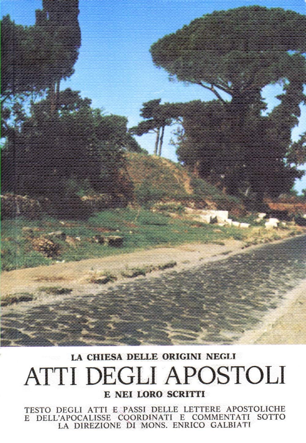 Atti degli Apostoli book