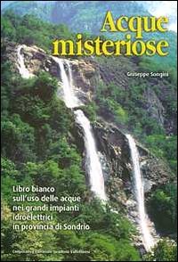 Acque misteriose. Libro bianco sull'uso delle acque nei grandi impianti idroelettrici in provincia di Sondrio Business & Technology