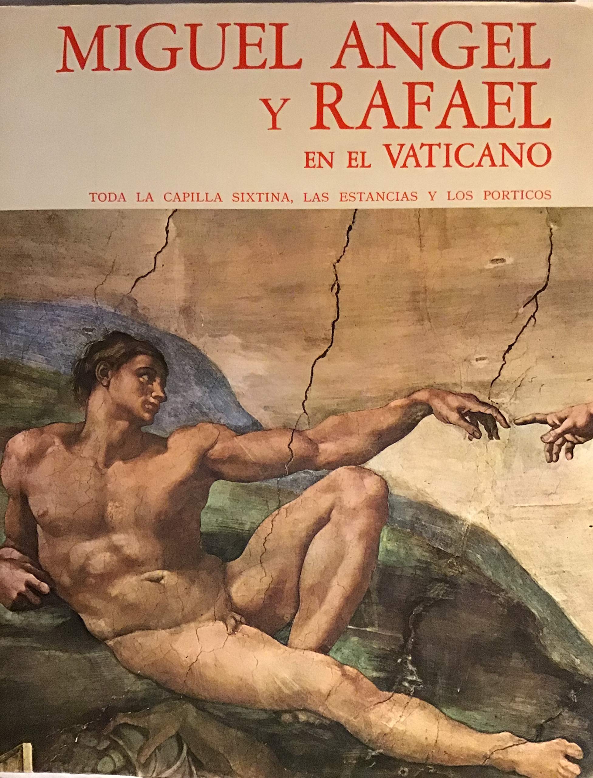 Miguel Angel y Rafael en el Vaticano book