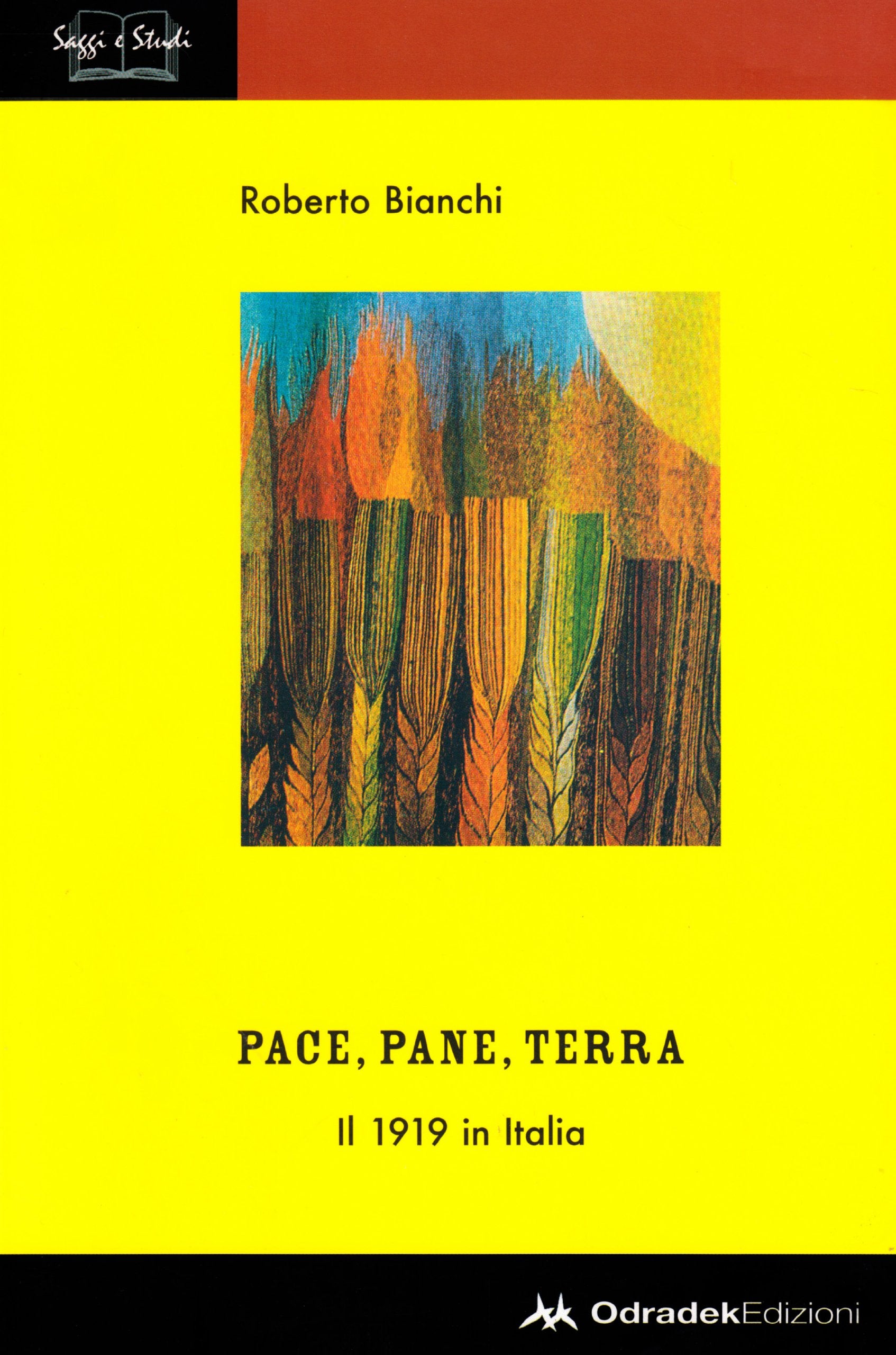 Pace, pane, terra. Il 1919 in Italia book