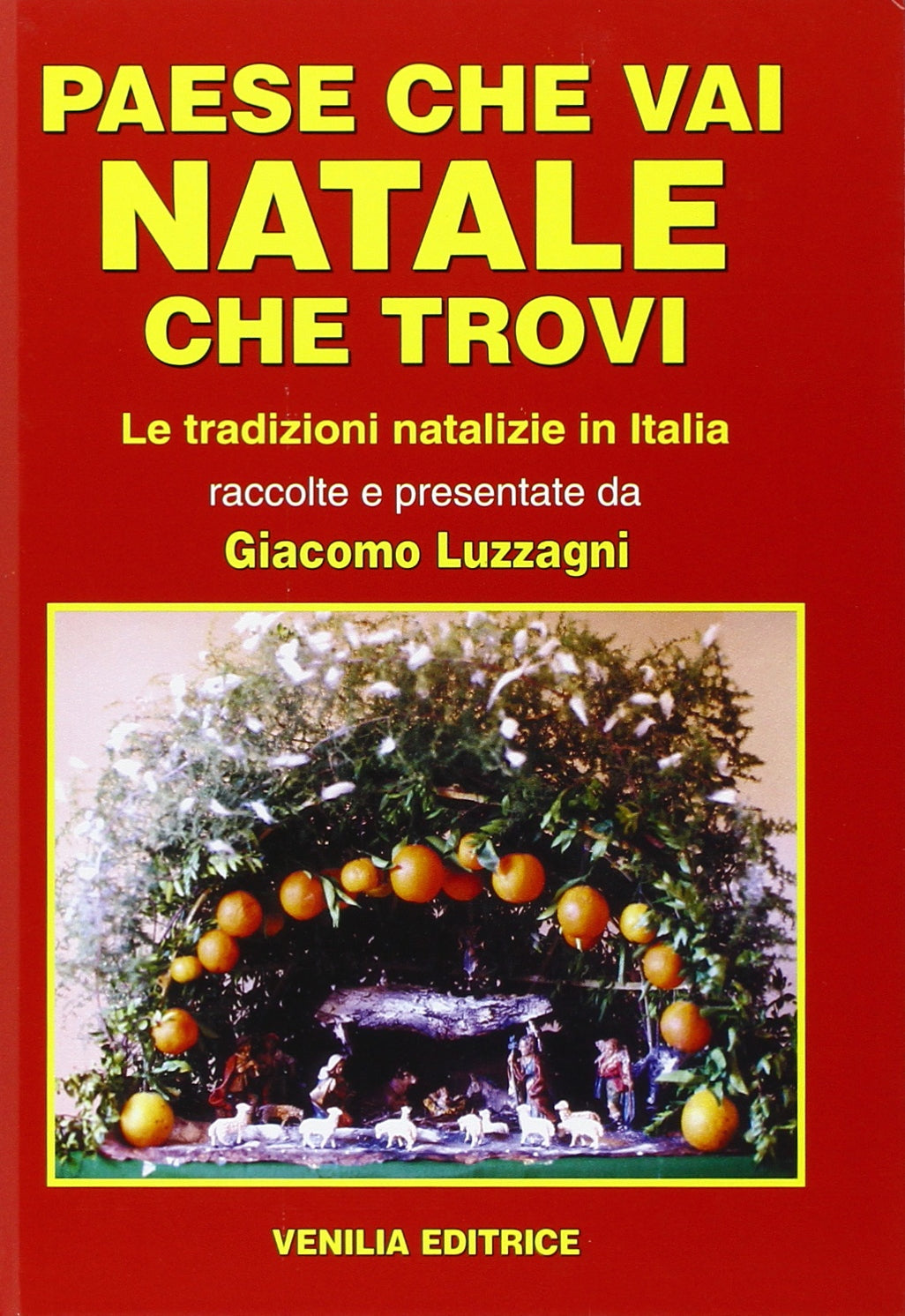 Paese che vai Natale che trovi. Le tradizioni natalizie in Italia book