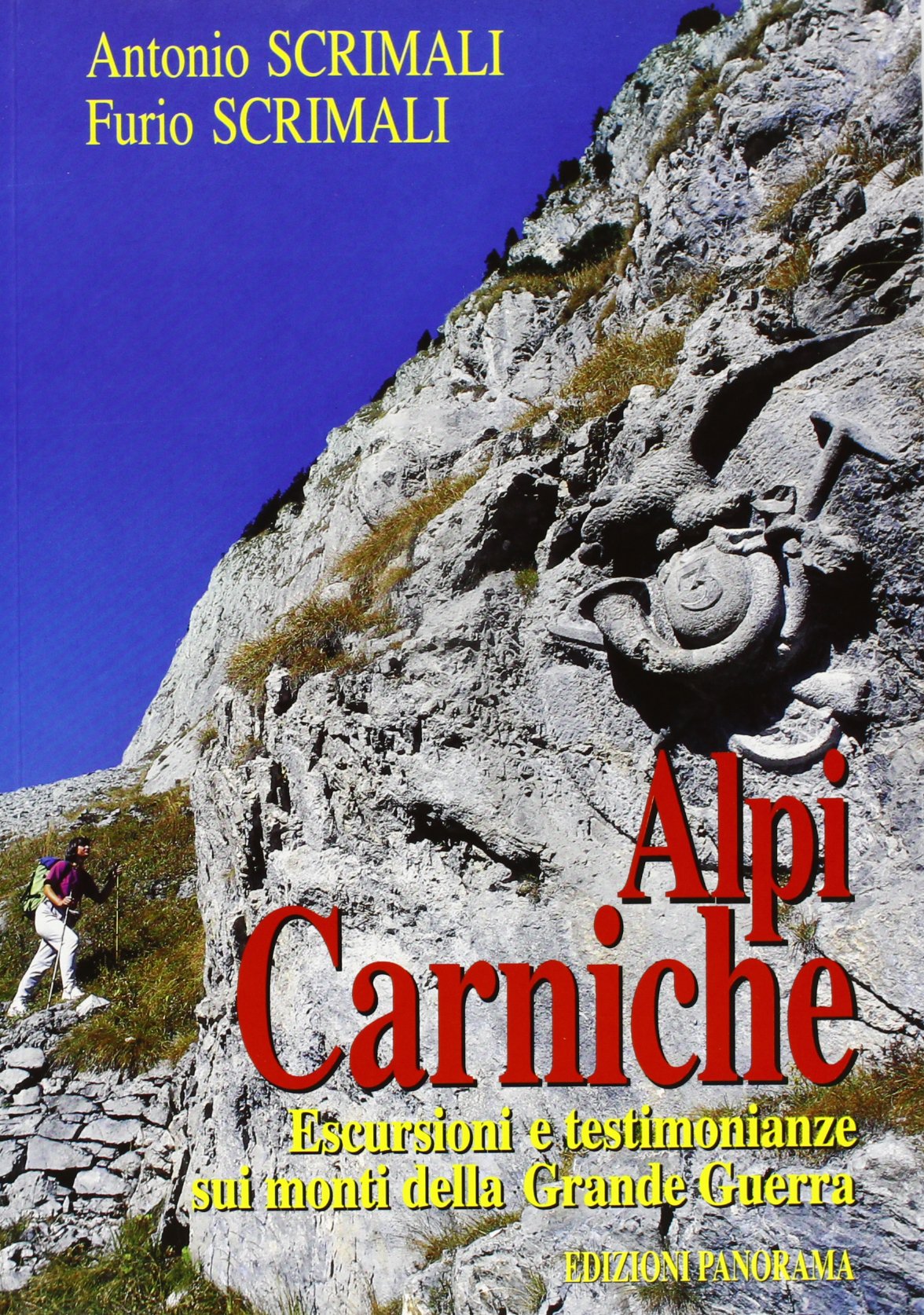 Alpi Carniche. Escursioni e testimonianze sui monti della grande guerra book