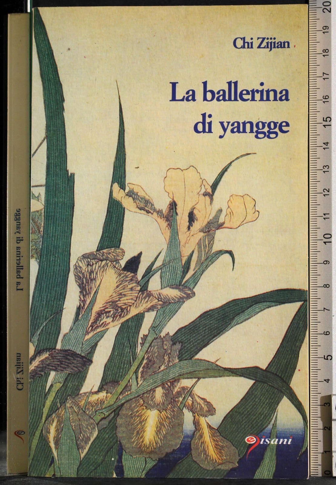 La ballerina di yangge book