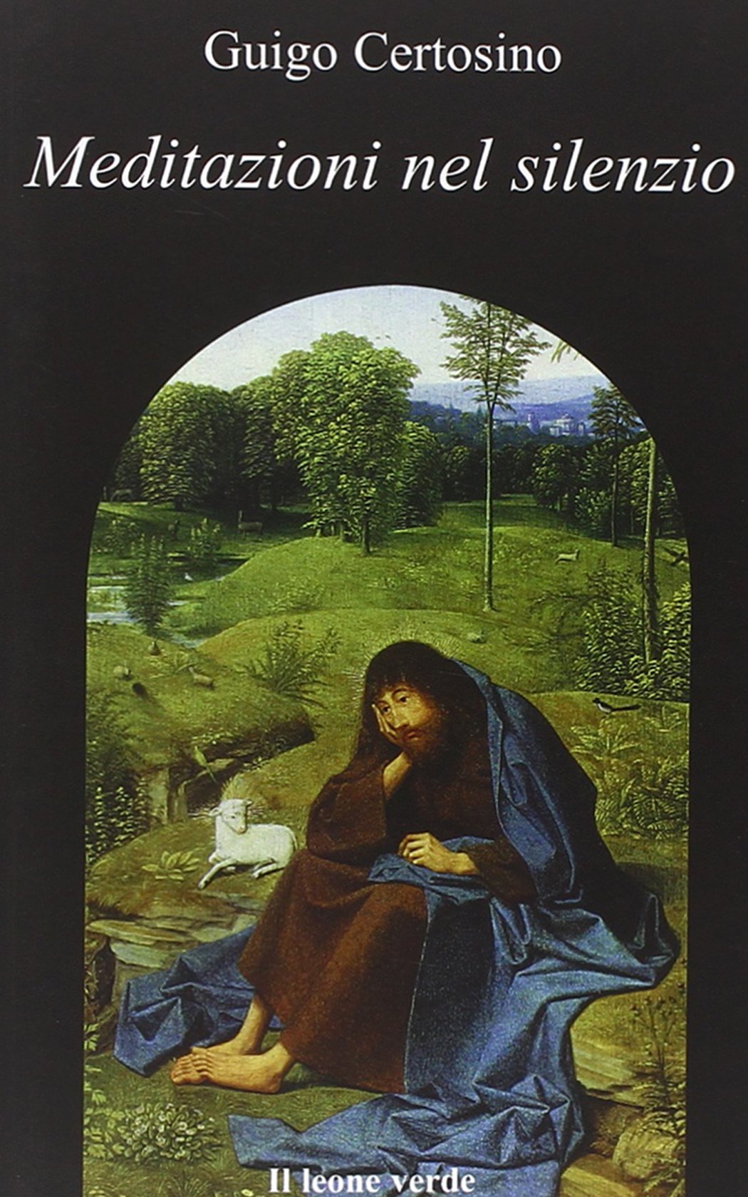 Meditazioni nel silenzio book