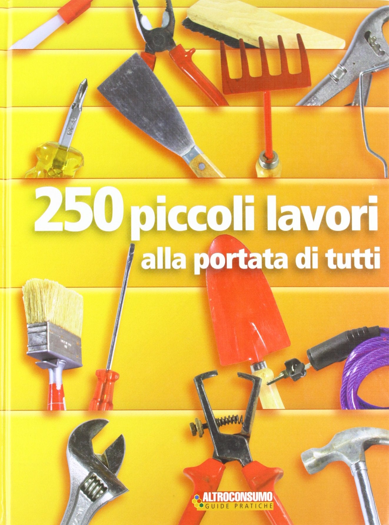 Duecentocinquanta piccoli lavori alla portata di tutti book