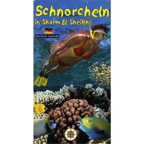 Schnorcheln in Sharm el Sheikh Leisure & Fun
