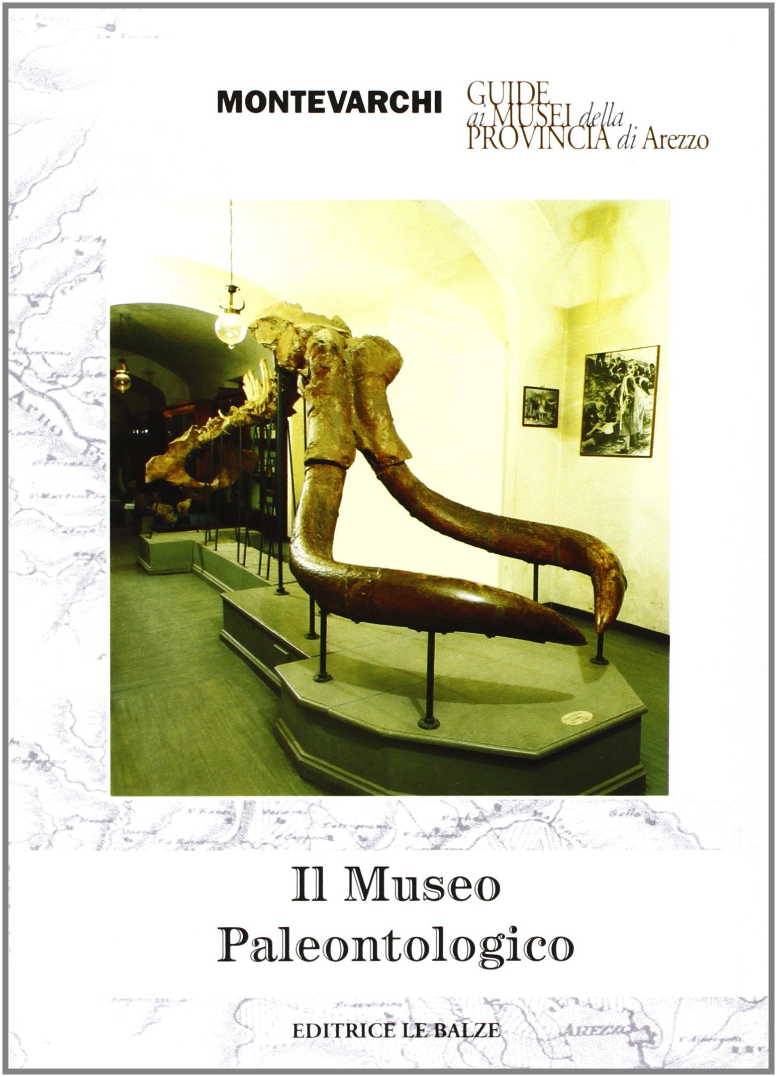 Il museo paleontologico di Montevarchi book
