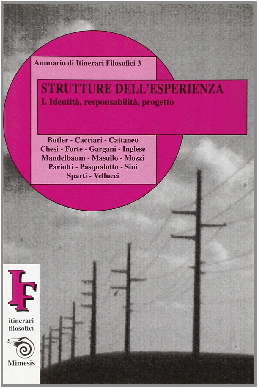 Strutture dell'esperienza. Identità, responsabilità, progetto book
