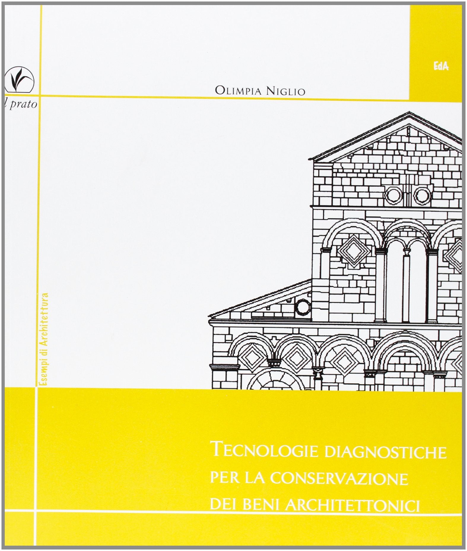 Tecnologie diagnostiche per la conservazione dei beni architettonici book