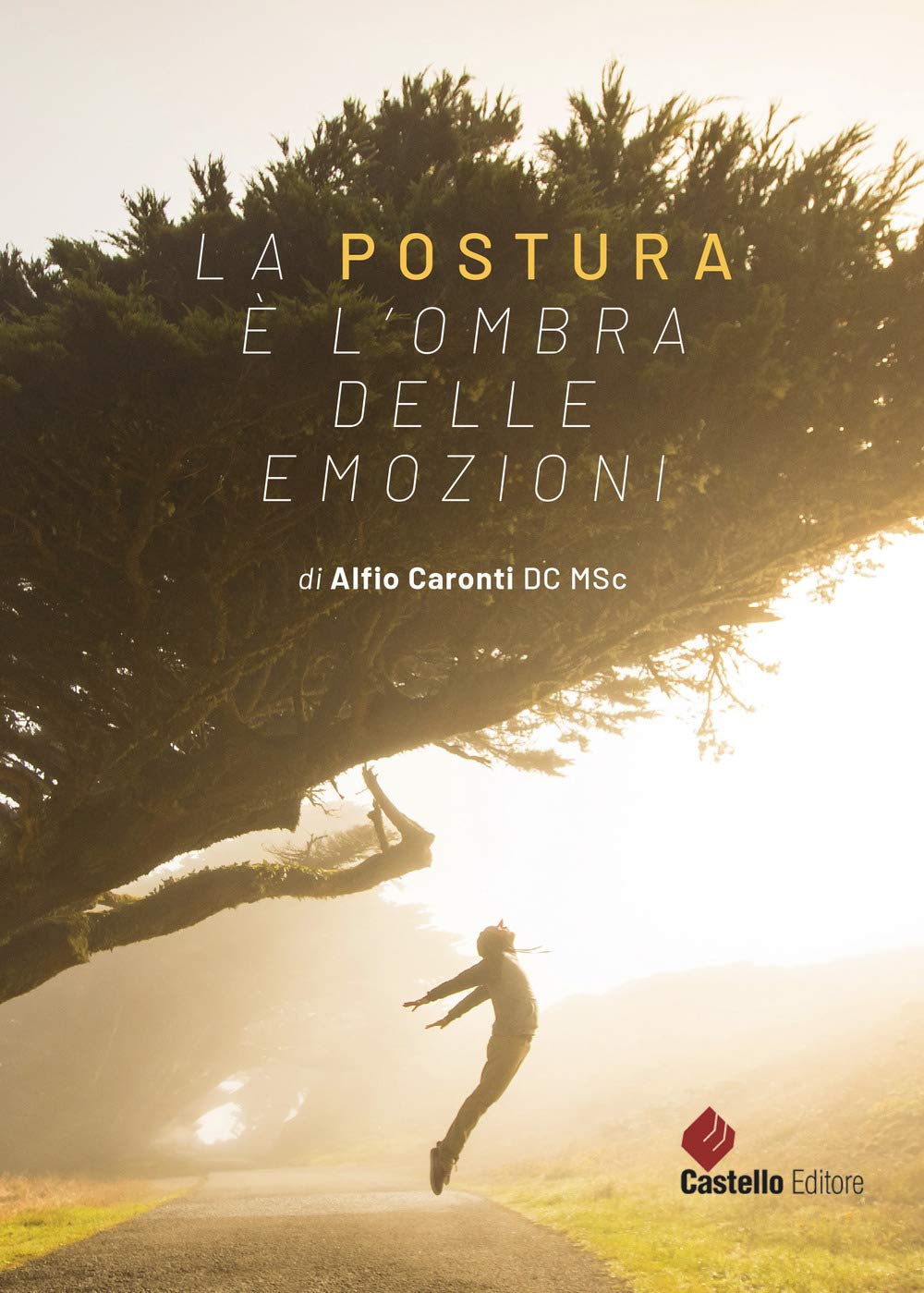 La postura è l'ombra delle emozioni book