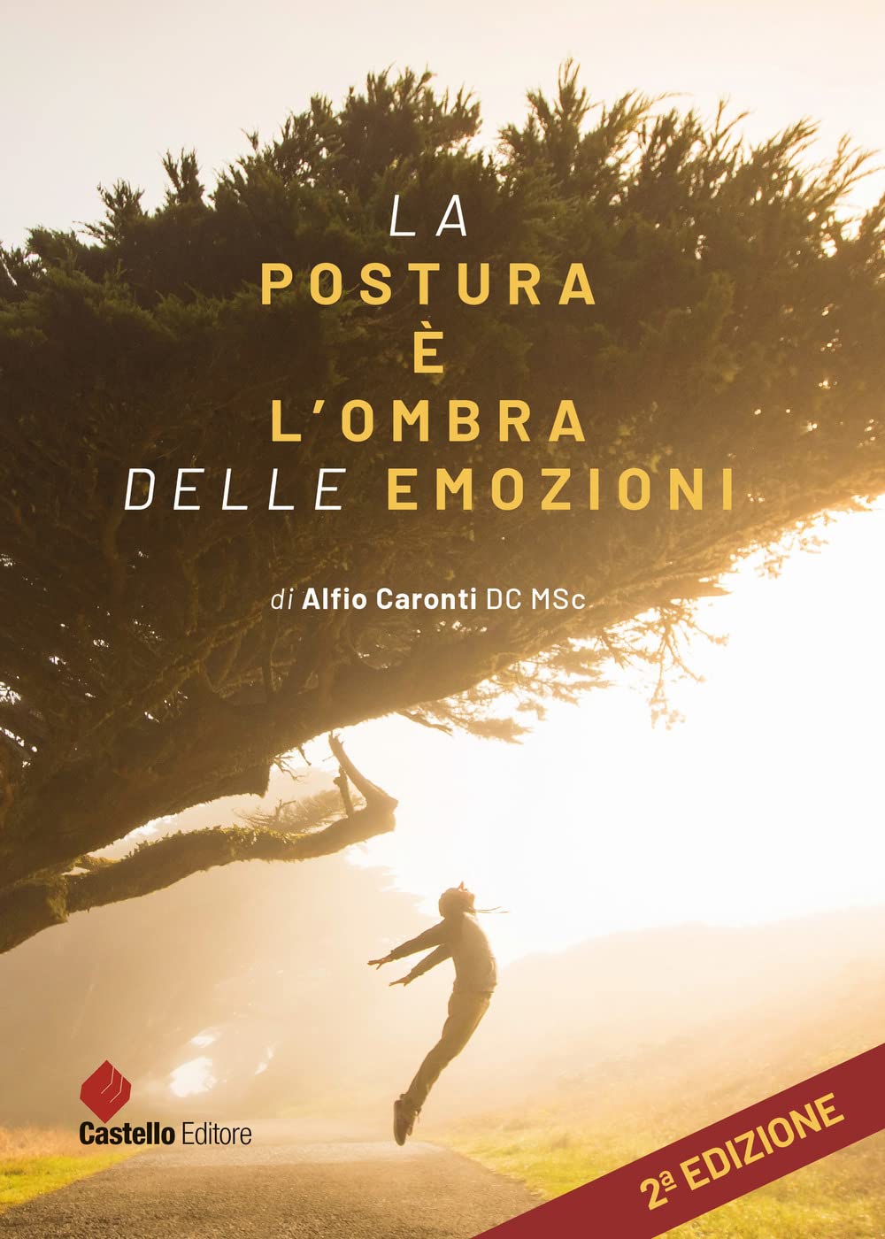 La postura è l'ombra delle emozioni book
