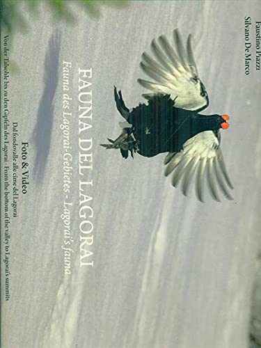 Fauna del Lagorai. Ediz. illustrata book