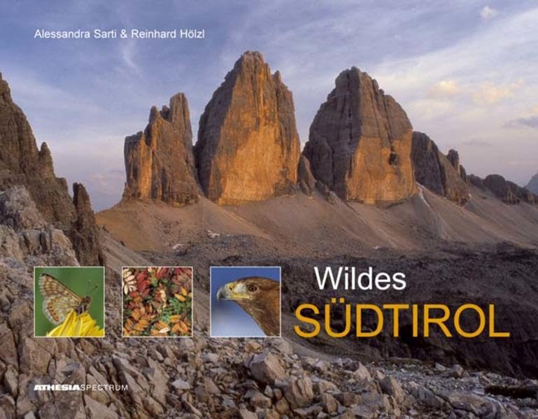 Wildes Südtirol Film, Art & Culture
