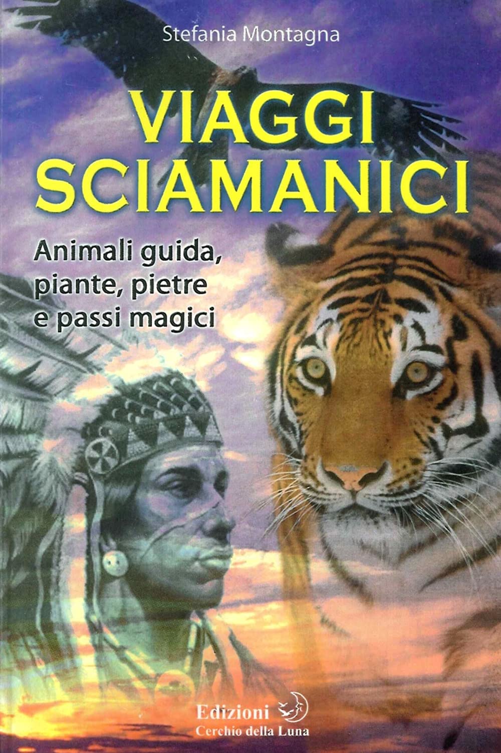 Viaggi sciamanici. Un'esperienza di guarigione book